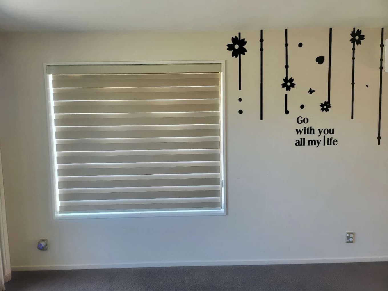 V4 Curtains — gallery image 24